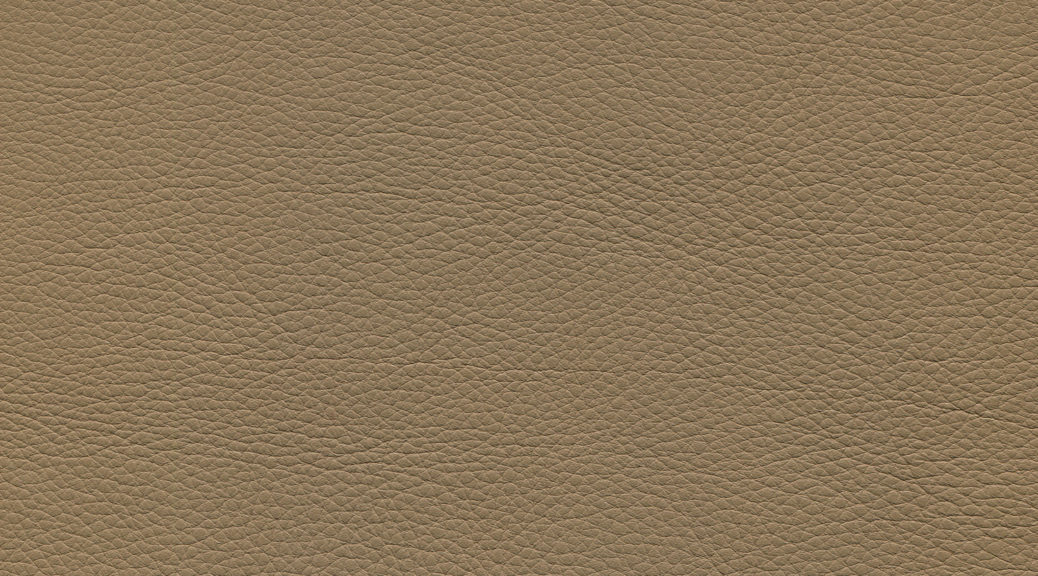 EDSIM Leather | TAUPE - EDSIM LEATHER